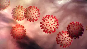 COVID-19 vaccine essay
