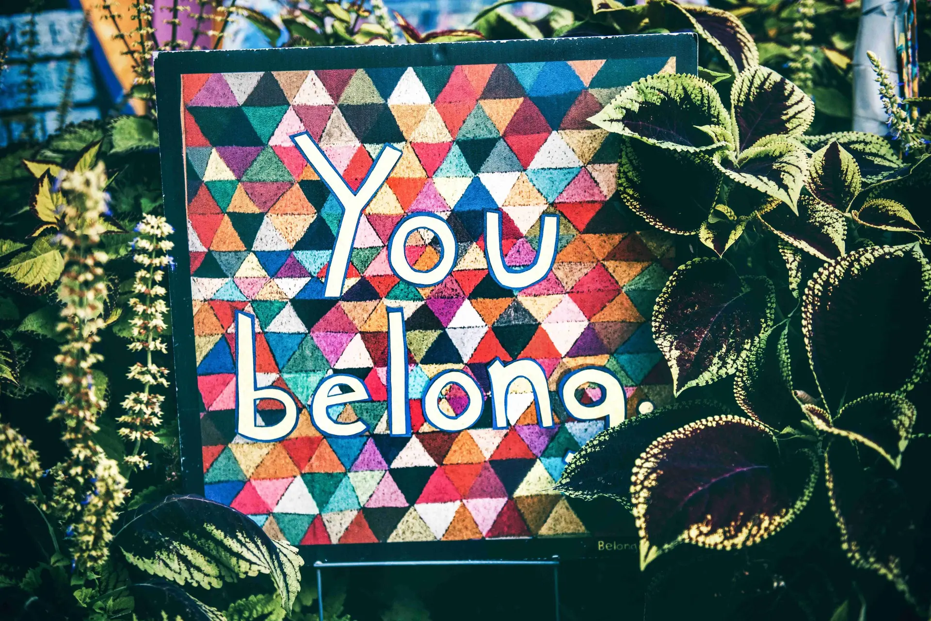 DEI, tamara thermitus, claudine gay, diversity, equity, and inclusion